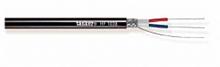 Tasker (HF 1038) öèôðîâîé ñèììåòðè÷íûé êàáåëü 110 Îì AES/EBU OFC 1õ2õ0.35 ìì2 Halogen free Tasker HF 1038 ôîòî, êóïèòü, öåíà, ìàãàçèí